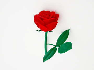 Valentines Day Red Rose
